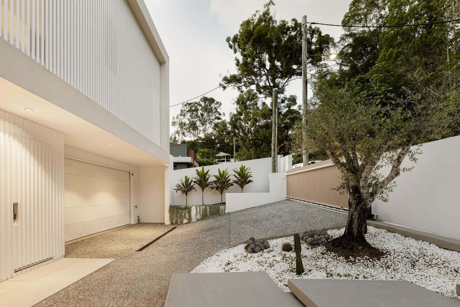 Entry court with an olive tree and gravel garden